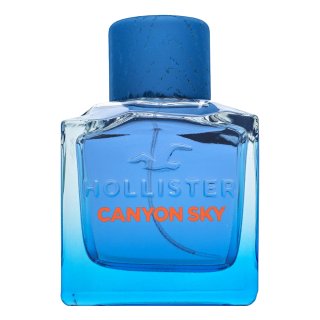 E-shop Hollister Canyon Sky For Him toaletná voda pre mužov 100 ml