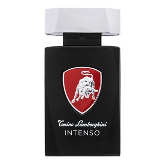 E-shop Tonino Lamborghini Intenso toaletná voda pre mužov 125 ml