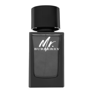 E-shop Burberry Mr. Burberry parfémovaná voda pre mužov 100 ml