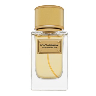 E-shop Dolce & Gabbana Velvet Mimosa Bloom parfémovaná voda pre ženy 50 ml