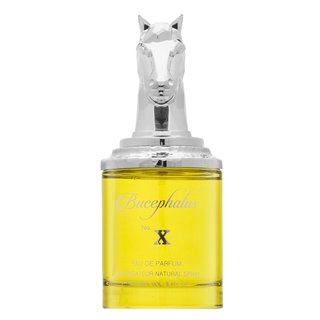 E-shop Armaf Bucephalus No. X parfémovaná voda pre mužov 100 ml