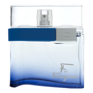 E-shop Salvatore Ferragamo F by Ferragamo Free Time toaletná voda pre mužov 100 ml