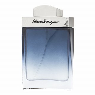 E-shop Salvatore Ferragamo Subtil Pour Homme toaletná voda pre mužov 50 ml