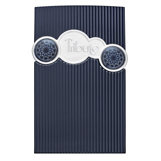 E-shop Afnan Tribute Blue parfémovaná voda pre mužov 100 ml