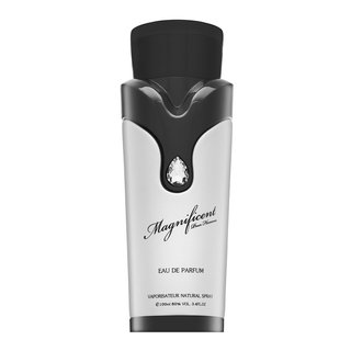 E-shop Armaf Magnificent Pour Homme parfémovaná voda pre mužov 100 ml
