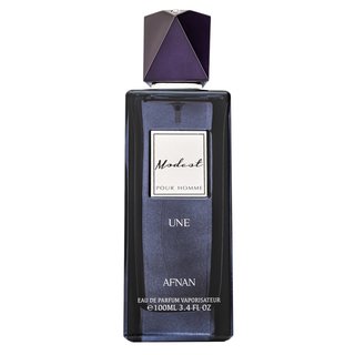 E-shop Afnan Modest Une parfémovaná voda pre mužov 100 ml
