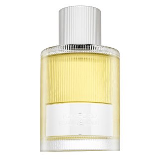 E-shop Tom Ford Signature Beau de Jour parfémovaná voda pre mužov 100 ml
