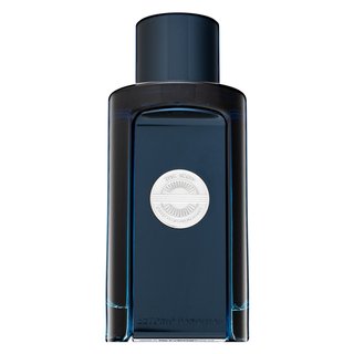 E-shop Antonio Banderas The Icon toaletná voda pre mužov 100 ml