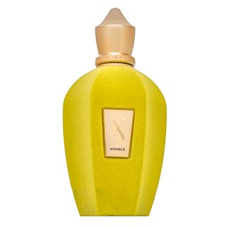 E-shop Xerjoff Amabile parfémovaná voda unisex 100 ml
