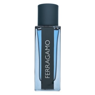 E-shop Salvatore Ferragamo Intense Leather parfémovaná voda pre mužov 30 ml