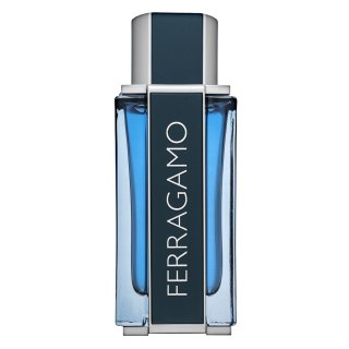 E-shop Salvatore Ferragamo Intense Leather parfémovaná voda pre mužov 100 ml