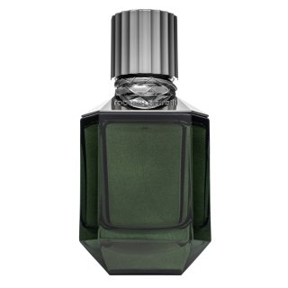 E-shop Roberto Cavalli Paradise Found toaletná voda pre mužov 75 ml