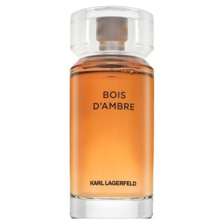 E-shop Lagerfeld Bois d'Ambre toaletná voda pre mužov 100 ml