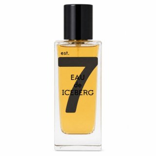 E-shop Iceberg Eau de Iceberg Amber toaletná voda pre mužov 100 ml