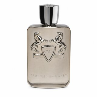 E-shop Parfums de Marly Pegasus parfémovaná voda pre mužov 200 ml