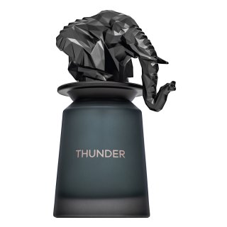 E-shop French Avenue Thunder parfémovaná voda pre mužov 100 ml