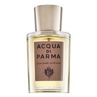 E-shop Acqua di Parma Colonia Intensa kolínska voda pre mužov 50 ml