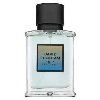 E-shop David Beckham True Instinct parfémovaná voda pre mužov 50 ml