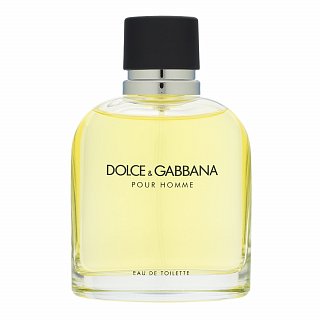 E-shop Dolce & Gabbana Pour Homme toaletná voda pre mužov 125 ml