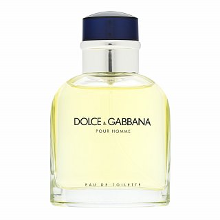 E-shop Dolce & Gabbana Pour Homme toaletná voda pre mužov 75 ml
