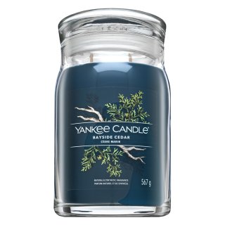 E-shop Yankee Candle Bayside Cedar