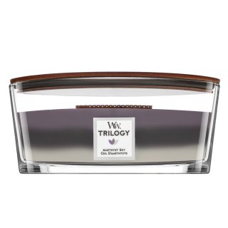 E-shop Woodwick Amethyst Sky 453,6 g