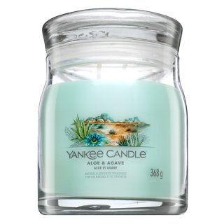 E-shop Yankee Candle Aloe & Agave 368 g