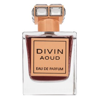 E-shop French Avenue Divin Aoud parfémovaná voda unisex 100 ml