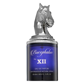 E-shop Armaf Bucephalus No. XII parfémovaná voda pre mužov 100 ml