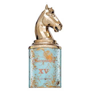 E-shop Armaf Bucephalus No. XV parfémovaná voda pre mužov 100 ml