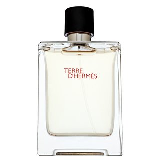 E-shop Hermes Terre D'Hermes toaletná voda pre mužov 100 ml