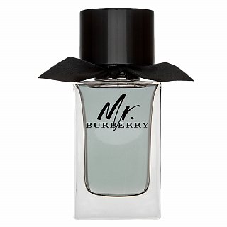 E-shop Burberry Mr. Burberry toaletná voda pre mužov 100 ml