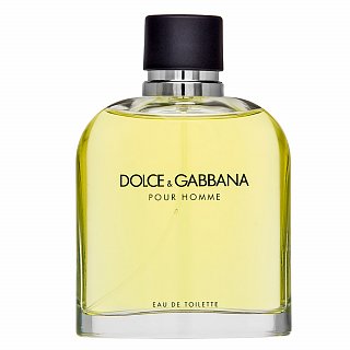 E-shop Dolce & Gabbana Pour Homme toaletná voda pre mužov 200 ml