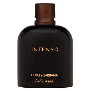 E-shop Dolce & Gabbana Pour Homme Intenso parfémovaná voda pre mužov 200 ml