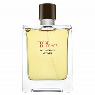 E-shop Hermes Terre D'Hermes Eau Intense Vetiver parfémovaná voda pre mužov 100 ml