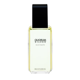 Antonio Puig Quorum Silver toaletná voda pre mužov 100 ml