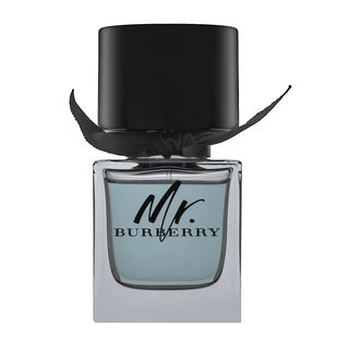 Burberry Mr. Burberry Toaletná Voda Pre Mužov 50 Ml