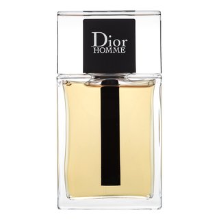 Dior (Christian Dior) Dior Homme 2020 toaletná voda pre mužov 100 ml.