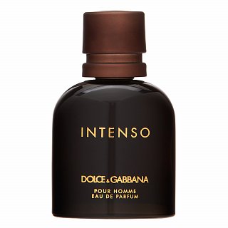 dolce-gabbana-pour-homme-intenso-toaletna-voda-pre-muzov-40-ml