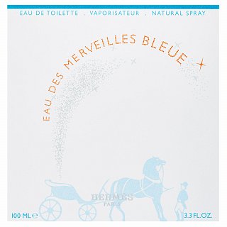 Hermes Eau Des Merveilles Bleue Toaletná Voda Pre ženy 100 Ml