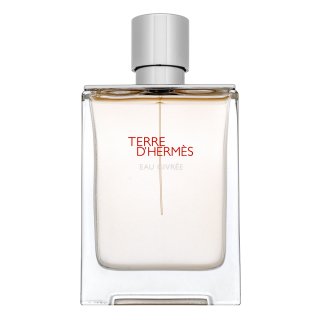 HERMÈS Terre d’Hermès Eau Givrée parfumovaná voda pre mužov 100 ml kúpite na Brasty.sk