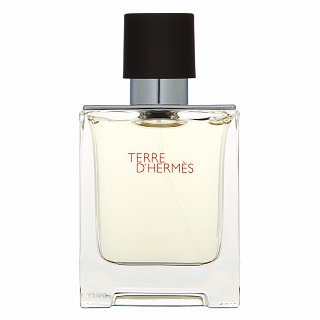 HERMÈS Terre d’Hermès toaletná voda pre mužov 50 ml kúpite na Brasty.sk