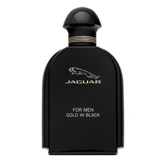 Jaguar For Men Gold in Black toaletná voda pre mužov 100 ml