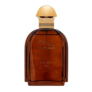Jaguar Oud For Men parfémovaná voda pre mužov 100 ml