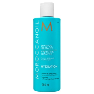 Moroccanoil Hydration hydratačný šampón s arganovým olejom 250 ml kúpite na Brasty.sk