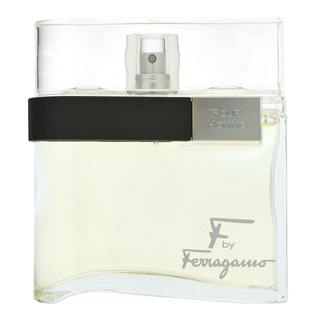 Ferragamo F by Ferragamo toaletná voda pre mužov 100 ml kúpite na Brasty.sk