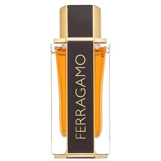 Ferragamo Ferragamo Spicy Leather parfumovaná voda pre mužov 100 ml