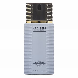 Ted Lapidus Lapidus Pour Homme toaletná voda 100 ml kúpite na Brasty.sk